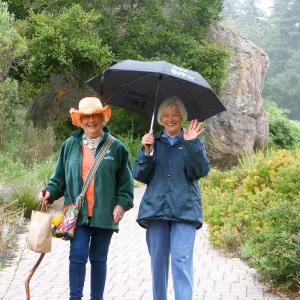 Seniors Free Day