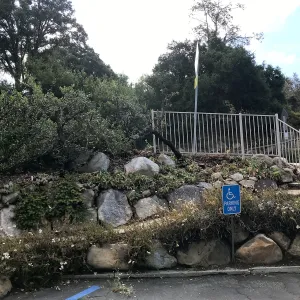Fence at Mission Canyon Road crosswalk after removal of wild grape