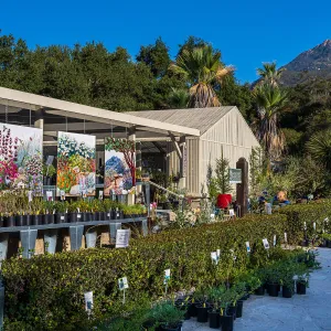 Garden Growers Nursery
