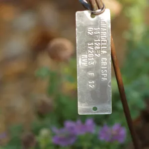 Plant Accession Label