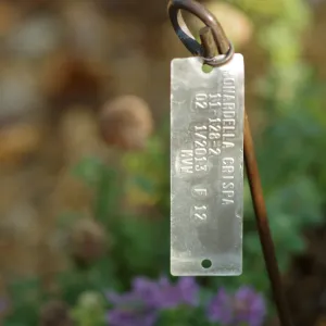 Plant Accession Label