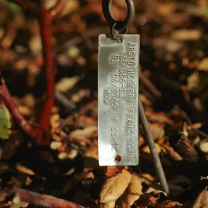 Plant Accession Label