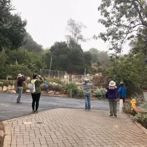 Morning Bird Walk