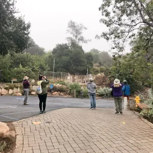 Morning Bird Walk