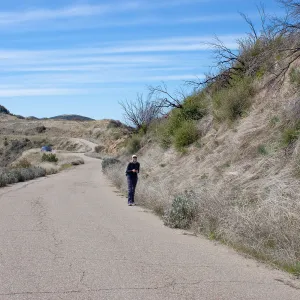 Stephanie Calloway surveying along East Camino Cielo for invasive species and rare plants, CA, Thomas Fire Survey - Mapping Recovery project