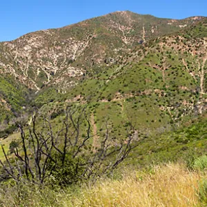 Panorama of trails and hills, San Ysidro Trail/Edison Catways, Santa Barbara, California, Thomas Fire Survey - Mapping Recovery project