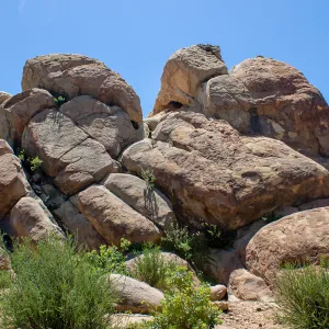 Large rock outcrop along Saddle Rock trail, Saddlerock Trail, Santa Barbara, California, Thomas Fire Survey - Mapping Recovery project