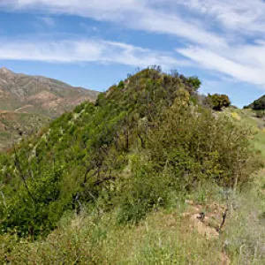 Panorama of Jameson Lake and forest service road 5N13, Jameson Lake, Santa Barbara, California, Thomas Fire Survey - Mapping Recovery project
