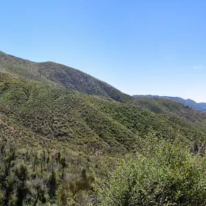 Post-burn chaparral landscape, Forest Service Road 5N13, Santa Barbara, CA, Thomas Fire Survey - Mapping Recovery project