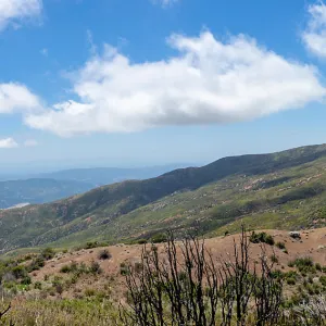 Panorama looking West over Nordhoff Ridge road, Foot path/Red reef trail east of Nordhoff Ridge Road, Ojai, CA, Thomas Fire Survey - Mapping Recovery project