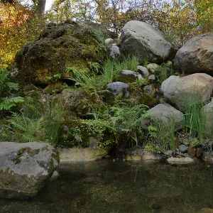 Lower Pond in the Arroyo Section after cleanout project