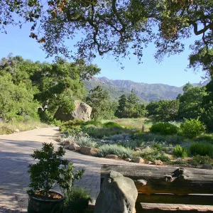 Groundcover Section, Blaksley Bouder, and Meadow viewed from the Garden Shop