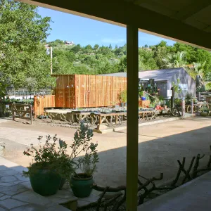 Courtyard and Garden Growers Nursery