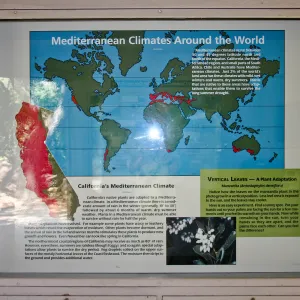 Mediterranean climate display in the Information Kiosk