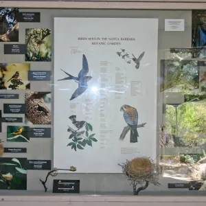 Birds seen in the Garden display in the Information Kiosk