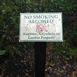 No smoking sign in the main parking lot.