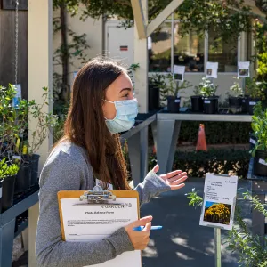 Face Coverings in the Garden