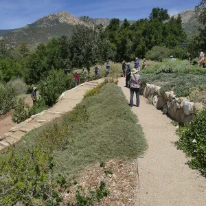 Ribbon cutting for the opening of the new stone staircase in the Island Transect Display built by Jacob Cobian