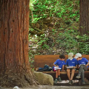 Plantastic Problem Solvers Summer Camp, biomimicry journaling activity