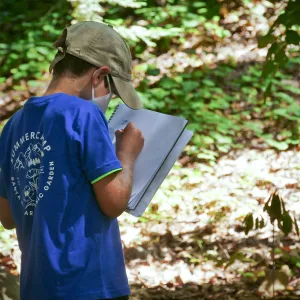 Plantastic Problem Solvers Summer Camp, biomimicry journaling activity