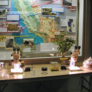 Great Garden Nature Night, Lab in Information Kiosk
