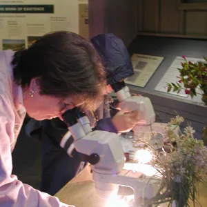 Great Garden Nature Night, lab in Information Kiosk