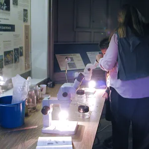 Great Garden Nature Night, lab in Information Kiosk