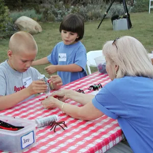 Great Garden Nature Night, Making spiders