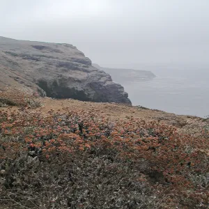 Santa Barbara Island trip 