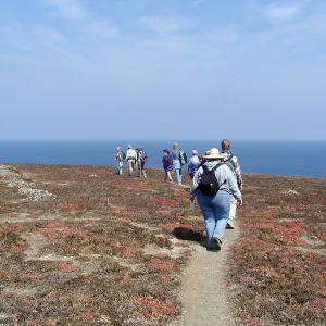 Santa Barbara Island Trip