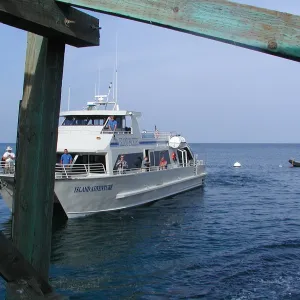 Santa Barbara Island Trip