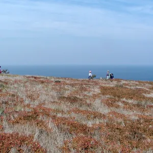 Santa Barbara Island Trip