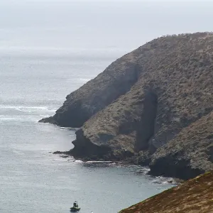 Santa Barbara Island Trip, Island steep 
