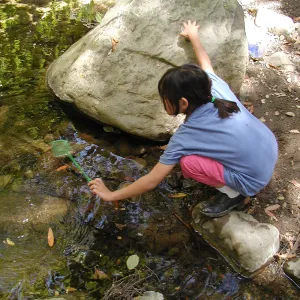 Summer Camp 2003, looking for creatures in Mission Creek