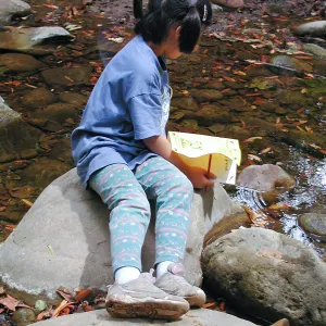 Summer Camp 2003