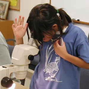 Summer Camp 2003, parts of a flower lab