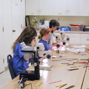 Summer Camp 2003, parts of a flower lab