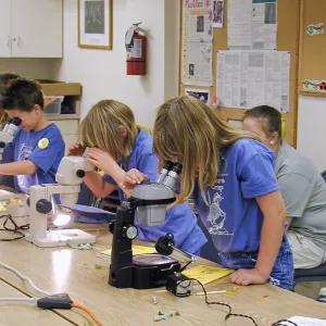 Summer Camp 2003, parts of a flower lab