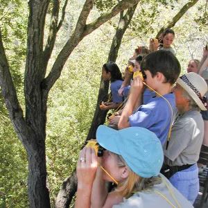 Summer Camp 2003