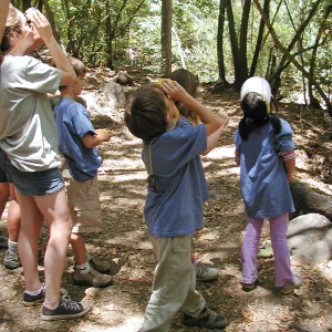 Summer Camp 2003