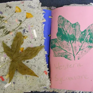 Summer Camp 2003, papermaking and leaf printing