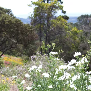 Porter Trail