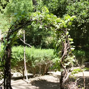 Centennial Maze