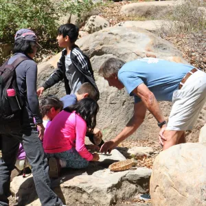 Docent led Chumash Uses of Plants tour for 2nd graders from Norman Brekke School