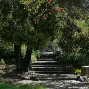 Clara Small Smith Steps