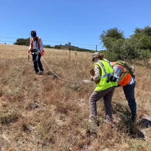 Garden and California Invasive Plant Council staff monitoring Pismo clarkia plot