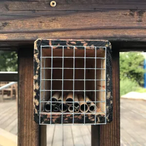Native bee home at the Cottage Deck