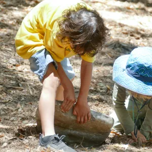 Acorn Adventurers Summer Camp