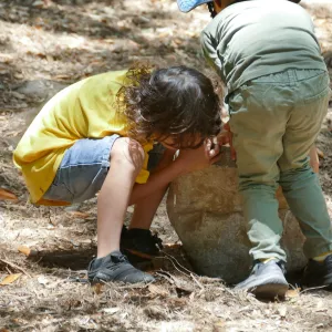 Acorn Adventurers Summer Campers looking under rocks