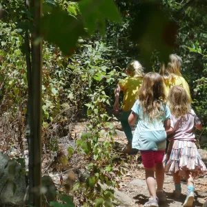 Acorn Adventurers Summer Camp
